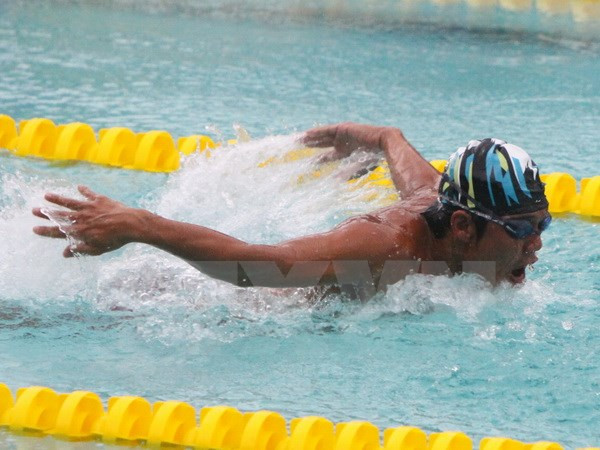 匈牙利代表队参加2016年越南国家游泳锦标赛 ảnh 1