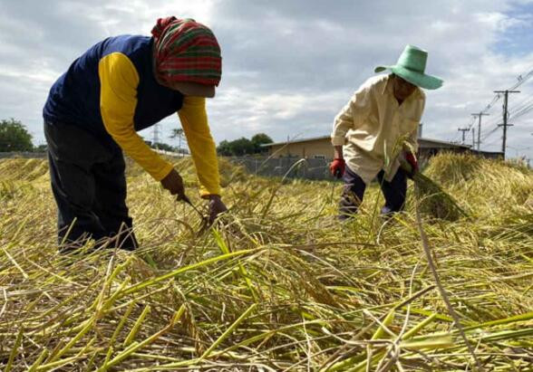 泰国出资500亿泰铢刺激经济增长 ảnh 1 泰国出资500亿泰铢刺激经济增长 ảnh 1