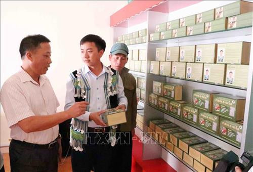 蒙族小伙子的药方为肝病患者点燃希望 ảnh 1 蒙族小伙子的药方为肝病患者点燃希望 ảnh 1