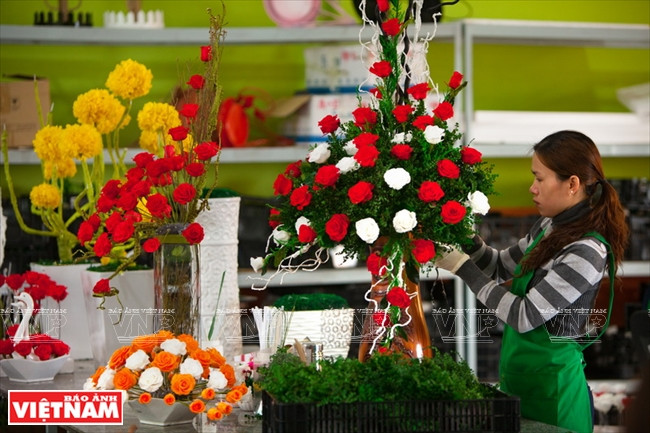 越南一流花苗银行(组图) ảnh 9 越南一流花苗银行(组图) ảnh 9
