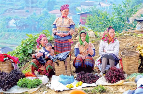 独具一格的老街省山区定期集市 ảnh 6