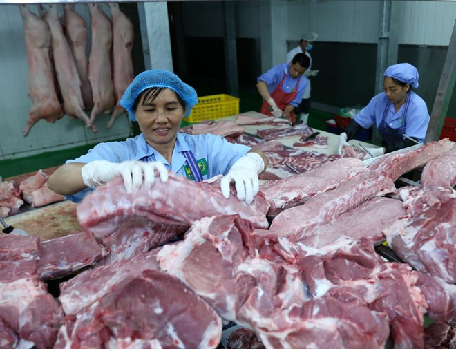 美国猪肉寻找对越南出口的出路 ảnh 1 美国猪肉寻找对越南出口的出路 ảnh 1