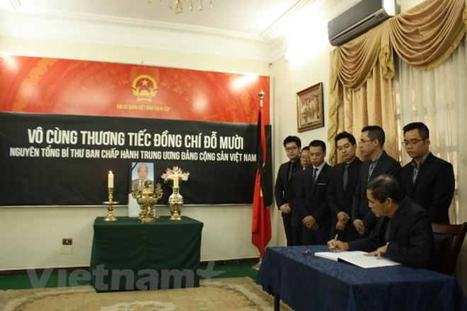 原越共中央总书记杜梅吊唁仪式在埃及、阿根廷和孟加拉国举行 ảnh 1 原越共中央总书记杜梅吊唁仪式在埃及、阿根廷和孟加拉国举行 ảnh 1