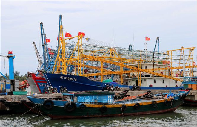 越南海洋战略实施10年：越南在海洋岛屿资源管理和环境保护领域取得突破性进展 ảnh 1