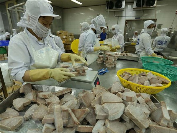 2018年越南水产品出口额有望达到90亿美元 ảnh 1 2018年越南水产品出口额有望达到90亿美元 ảnh 1