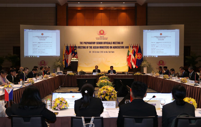 东盟共同体面向创新型农业建设 ảnh 1 东盟共同体面向创新型农业建设 ảnh 1