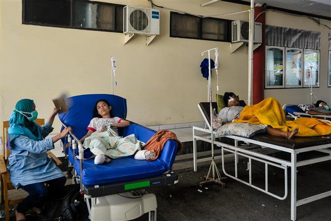 印尼地震和海啸:印尼政府为地震灾民设立临时避难所 ảnh 1 印尼地震和海啸:印尼政府为地震灾民设立临时避难所 ảnh 1