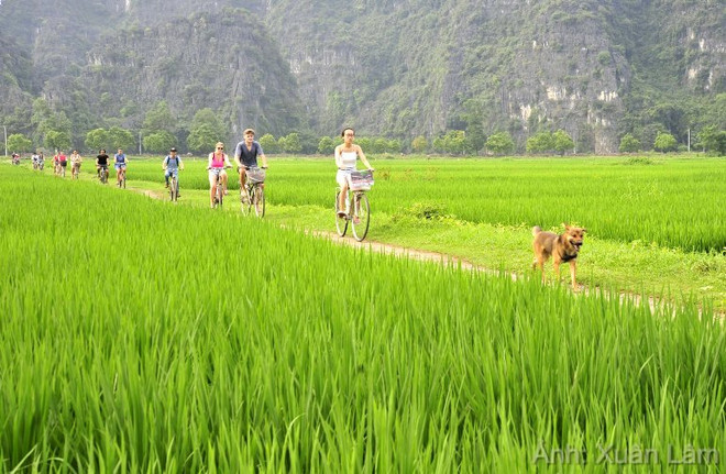 今年前9月宁平省接待游客量达640万人次 ảnh 1 今年前9月宁平省接待游客量达640万人次 ảnh 1
