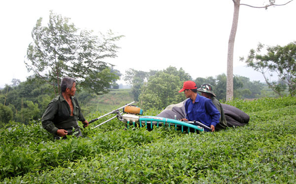 富寿省：新农村建设让山区面貌焕然一新 ảnh 1