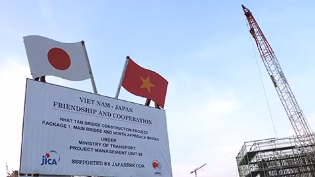 越日力争实现2020年双边贸易额600亿美元的目标 ảnh 1