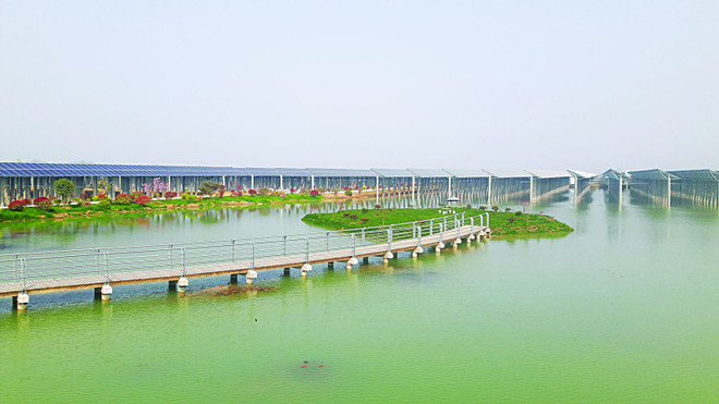 西宁省努力加快各太阳能发电厂项目施工进度 ảnh 1 西宁省努力加快各太阳能发电厂项目施工进度 ảnh 1