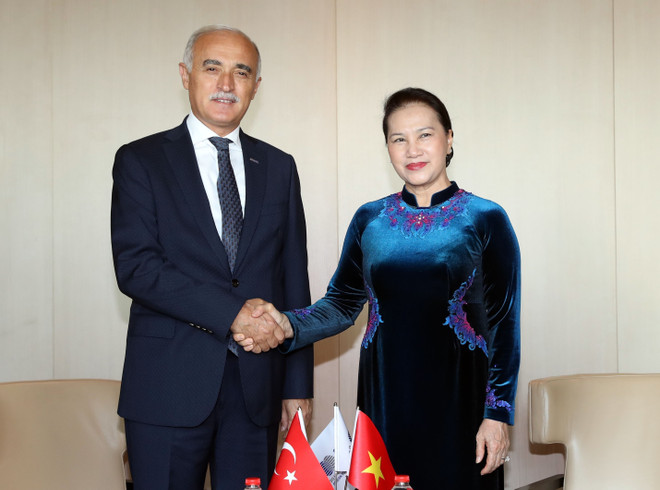 国会主席阮氏金银会见土耳其对外经济关系委员会主席 ảnh 1 国会主席阮氏金银会见土耳其对外经济关系委员会主席 ảnh 1