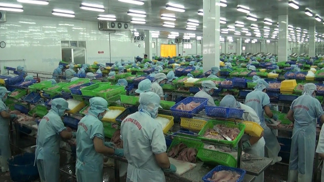 今年前9月芹苴市货物出口额创新高 ảnh 1 今年前9月芹苴市货物出口额创新高 ảnh 1