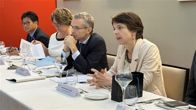 法国开发署同意在绿色能源开发和可再生能源等领域向越南提供资金支持 ảnh 2