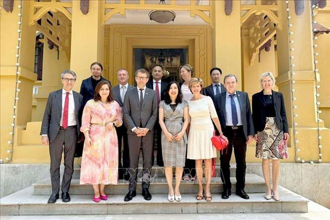 越南外交部副部长黎氏秋姮会见欧洲议会代表团 ảnh 1 越南外交部副部长黎氏秋姮会见欧洲议会代表团 ảnh 1