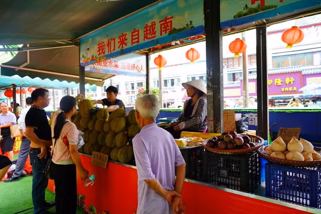 榴莲进口猛增，中国在越中边境地区建设冷链和加工设施 ảnh 1