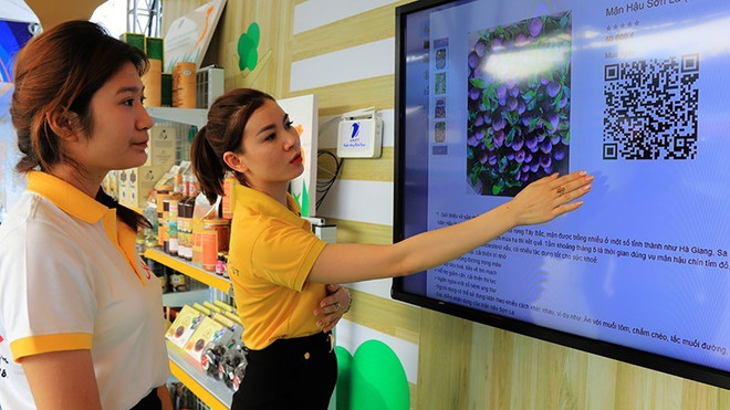 多元水果销售渠道 ảnh 1 多元水果销售渠道 ảnh 1