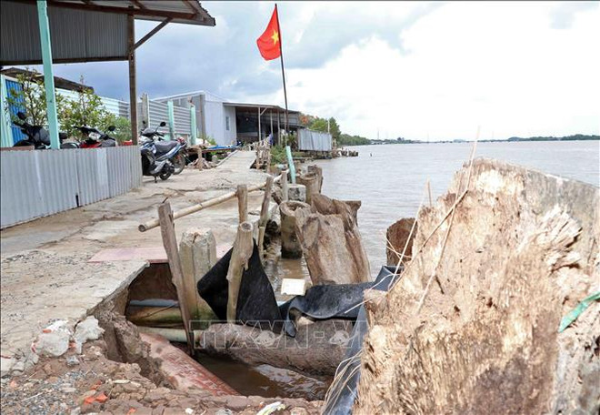 金瓯省主动采取措施来应对自然灾害 ảnh 1 金瓯省主动采取措施来应对自然灾害 ảnh 1