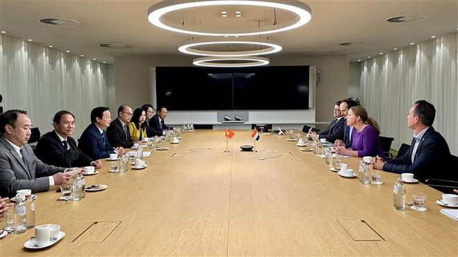越南政府副总理陈红河对荷兰进行工作访问 ảnh 1 越南政府副总理陈红河对荷兰进行工作访问 ảnh 1