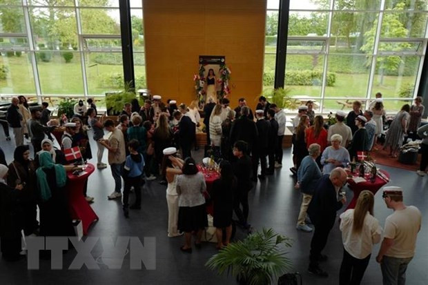 丹麦学生积极了解越南历史和文化 ảnh 1