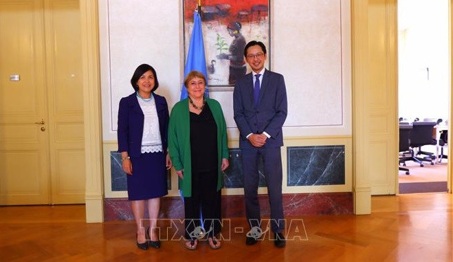 越南为联合国人权理事会活动中的对话和合作做出有效的贡献 ảnh 1 越南为联合国人权理事会活动中的对话和合作做出有效的贡献 ảnh 1