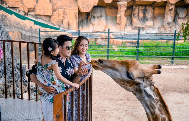 越南人民热衷旅游 ảnh 1 越南人民热衷旅游 ảnh 1