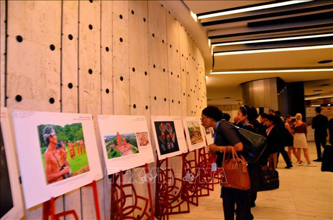 越南努力为联合国人权理事会活动作出贡献 ảnh 2 越南努力为联合国人权理事会活动作出贡献 ảnh 2