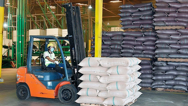 让西原农业融入国际市场并强劲发展 ảnh 1