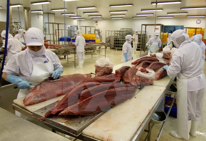 越南商品进军欧盟市场面临什么挑战 ảnh 1