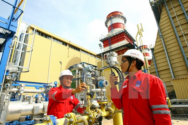 仁泽二号热电厂为国家电网提供250亿度电 ảnh 1