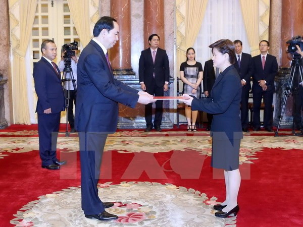 国家主席陈大光接受五国新任驻越大使递交国书 ảnh 4 国家主席陈大光接受五国新任驻越大使递交国书 ảnh 4
