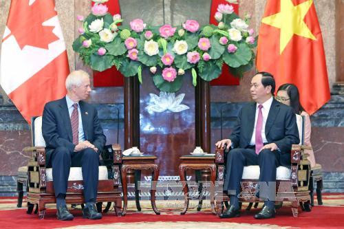越南国家主席陈大光会见即将离任的加拿大驻越大使大卫·迪瓦恩 ảnh 1