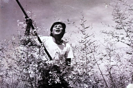 印度电视台首次播出越南电影 ảnh 1