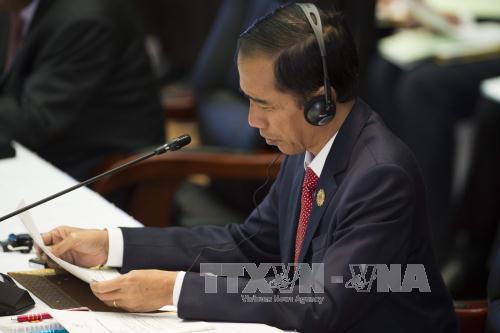 印尼总统佐科·维多多呼吁东盟各国加强经济合作 ảnh 1