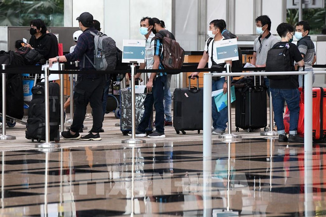 新加坡航空公司试行新冠筛查通行证 ảnh 1