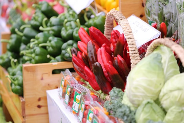 今年2月份胡志明市CPI环比上涨1.19% 河内市CPI环比上涨1.8% ảnh 1