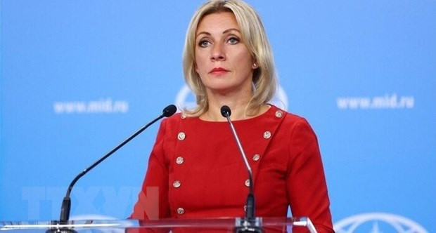 俄罗斯高度重视新背景下俄越战略伙伴关系 ảnh 1 俄罗斯高度重视新背景下俄越战略伙伴关系 ảnh 1