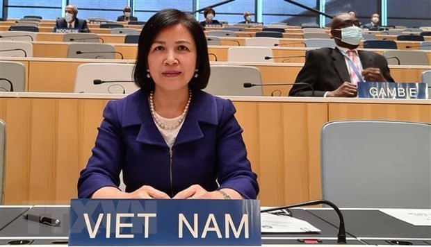 越南代表参加联合国人权理事会第46届会议并发表讲话 ảnh 1 越南代表参加联合国人权理事会第46届会议并发表讲话 ảnh 1