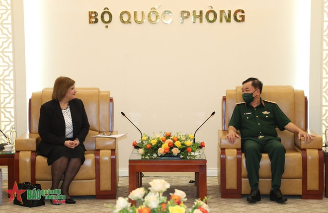 越南促进与日本和埃及的防务合作关系 ảnh 1