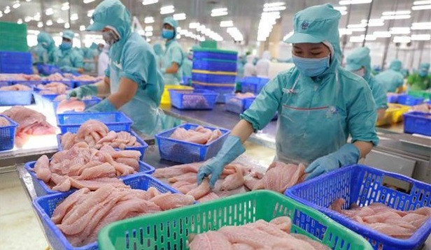 欧洲议会议员扎尔拉尔高度评价越南在地区的作用和地位 ảnh 2 欧洲议会议员扎尔拉尔高度评价越南在地区的作用和地位 ảnh 2