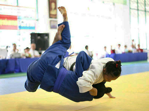 第二届亚洲柔道锦标赛在河内开赛 ảnh 1