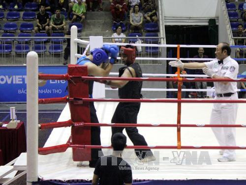 300多名运动员参加第26次越南全国传统武术锦标赛 ảnh 1