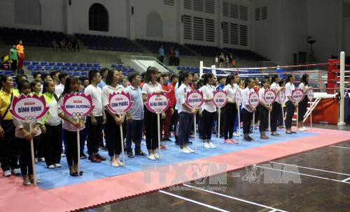 300多名运动员参加第26次越南全国传统武术锦标赛 ảnh 2