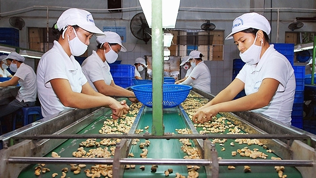 东盟发展的关键因素 ảnh 1 东盟发展的关键因素 ảnh 1