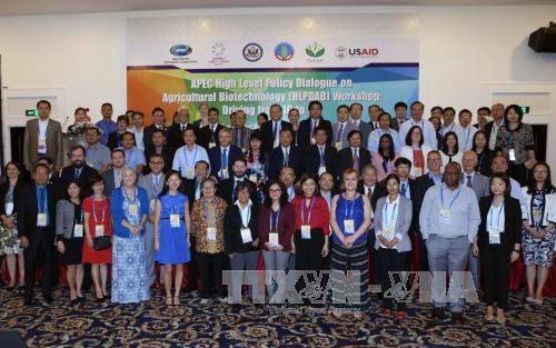 2017APEC年：数字时代农业生物技术研讨会在芹苴举行 ảnh 1