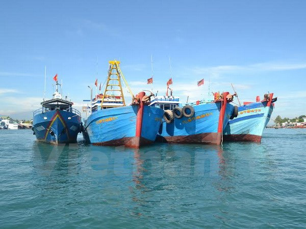 广南省发挥各个沿海经济区的潜力 ảnh 1 广南省发挥各个沿海经济区的潜力 ảnh 1