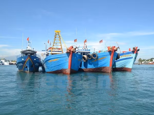 广南省发挥各个沿海经济区的潜力 ảnh 1 广南省发挥各个沿海经济区的潜力 ảnh 1