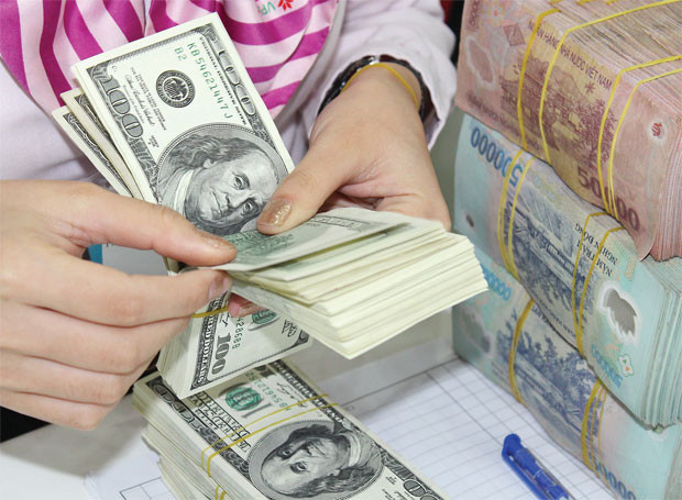 17日越盾兑美元中心汇率稳定不变 ảnh 1 17日越盾兑美元中心汇率稳定不变 ảnh 1