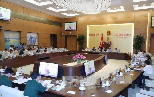 越南第十四届国会第十三次会议在河内开幕 ảnh 2