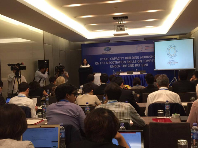 2017年APEC贸易投资委员会强调FTA竞争政策谈判技巧的重要性 ảnh 1